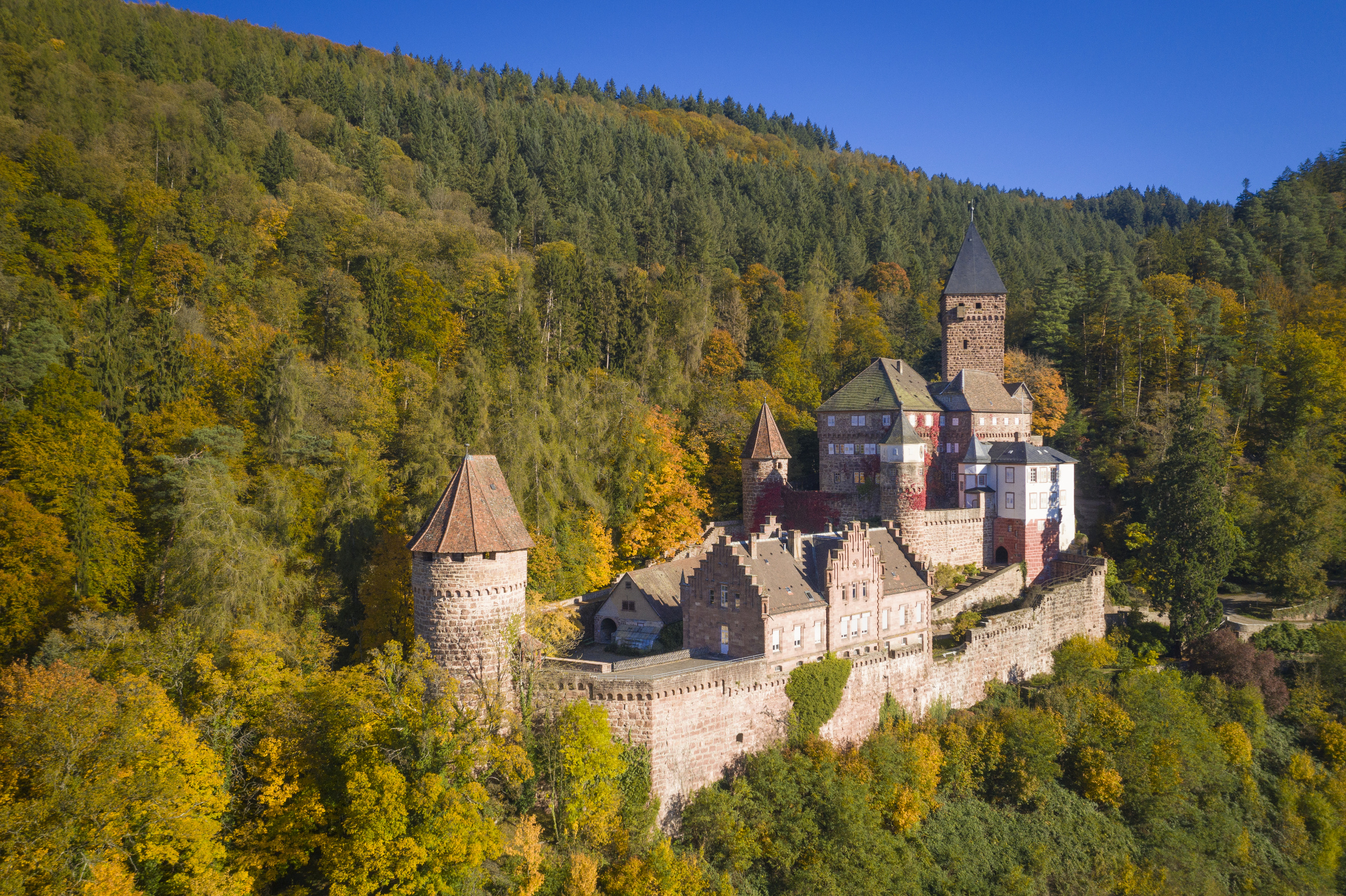 Burg Zwingenberg